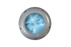 CCEI Nikita Sierplaat