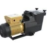 Hayward Hayward Super Pump Pro - Diverse Varianten